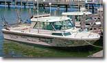 Charter Fishing Services On Lake Huron, Salmon, trout, charter boats fishing on Lake Huron - Harrisville, Michigan, MI