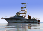 Trout Scout V Sportfishing Charters